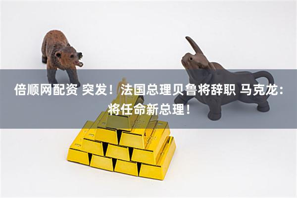 倍顺网配资 突发！法国总理贝鲁将辞职 马克龙：将任命新总理！